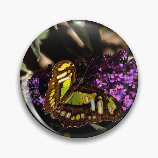 Item preview, Malachite Butterfly designed and sold by Armadillo222.