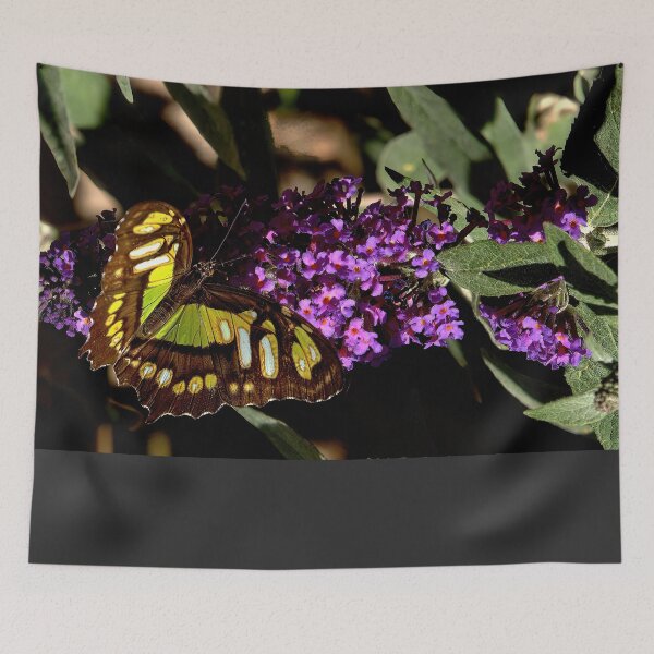 Item preview, Malachite Butterfly designed and sold by Armadillo222.