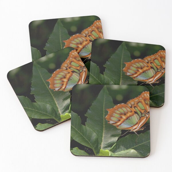 Item preview, Jewelwing Butterfly  designed and sold by Armadillo222.
