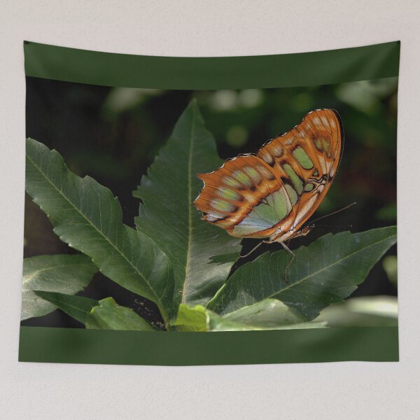 Item preview, Jewelwing Butterfly  designed and sold by Armadillo222.