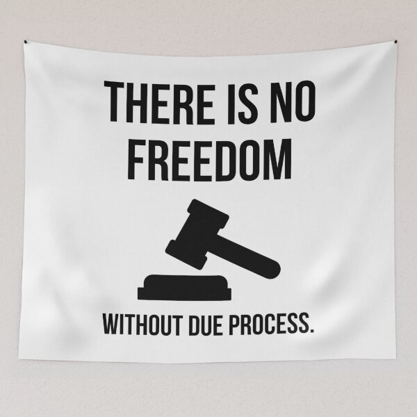 Item preview, There is no freedom without due process.  designed and sold by Rachel the Artist .