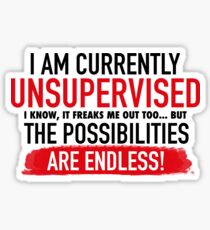 I Am Currently Unsupervised Adult Humor Novelty Graphic Funny T Shirt Sticker