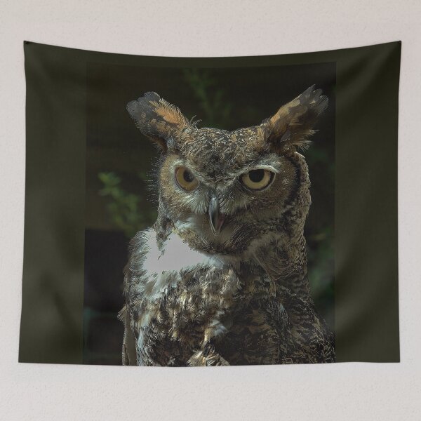 Item preview, Great Horned Owl Searching for Dinner designed and sold by Armadillo222.