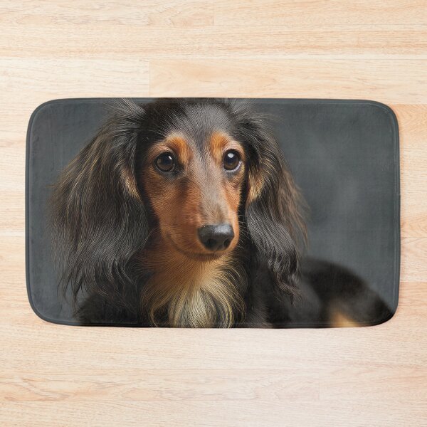 Item preview, Black and Tan Longhaired Dachshund designed and sold by Elisabeth Lucas.