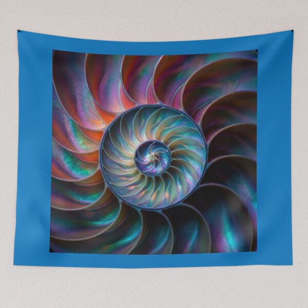 Item preview, Mother of Pearl Concentric Rings designed and sold by Tridentulus.