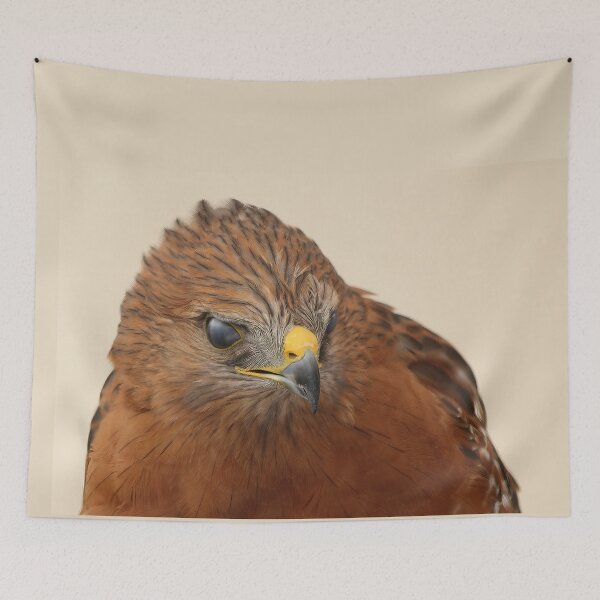 Item preview, Majestic Raptor in Profile – Red-Shouldered Hawk designed and sold by Armadillo222.