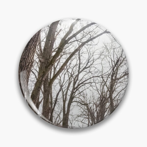 Item preview, Skeletons in a woodland cathedral designed and sold by Joel Bader.