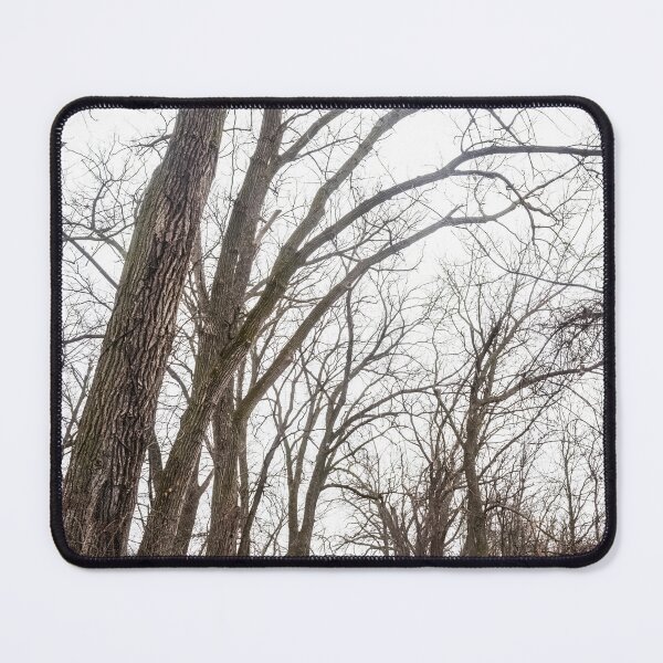 Item preview, Skeletons in a woodland cathedral designed and sold by Joel Bader.
