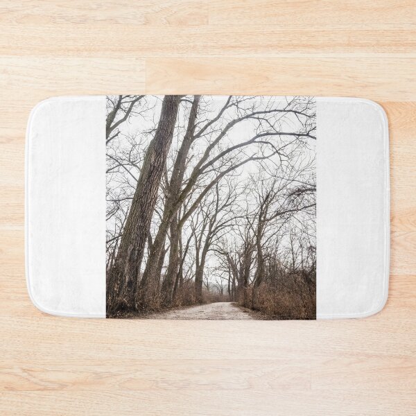 Item preview, Skeletons in a woodland cathedral designed and sold by Joel Bader.