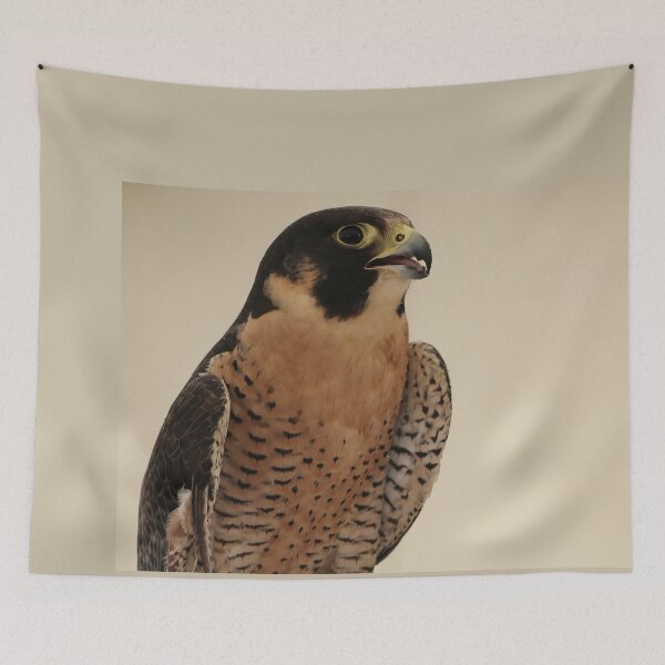 Item preview, Peregrine Falcon Portrait – Precision in Flight designed and sold by Armadillo222.