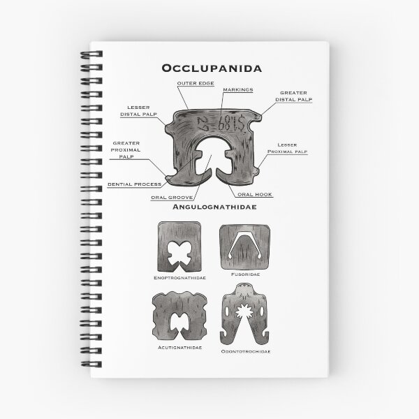 Item preview, Occlupanida - Bread clips designed and sold by Hannah Hibbert.