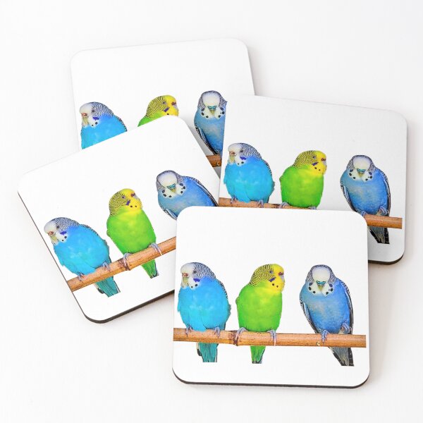 Item preview, Three Colorful Budgies on a Perch – Vibrant Parakeet Photography designed and sold by BlueRidgeBazaar.