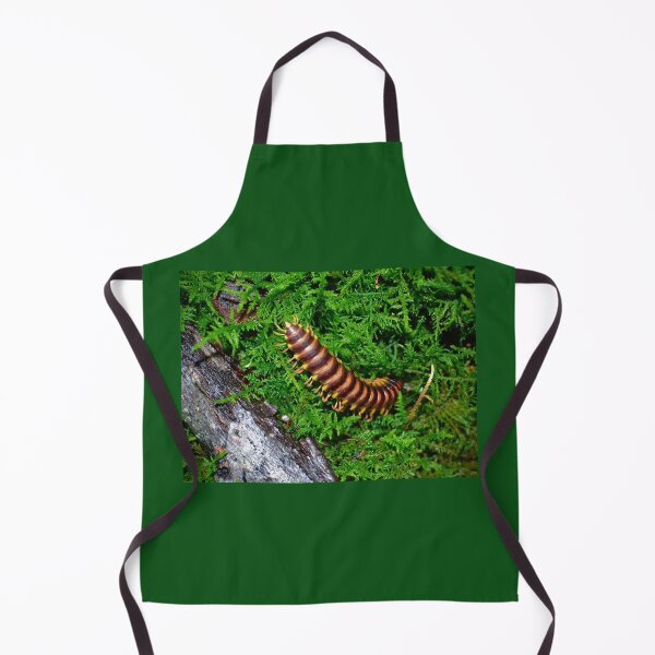 Item preview, Millipede in Mossy Forest Floor – Macro Invertebrate Nature Photography designed and sold by BlueRidgeBazaar.