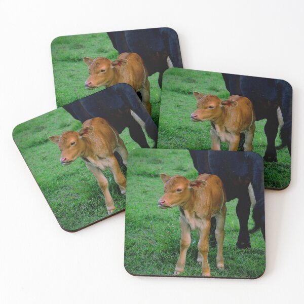 Artikelvorschau, Neugeborenes Kalb auf der Weide – Zarte Tierfotografie vom Bauernhof entworfen und verkauft von BlueRidgeBazaar.