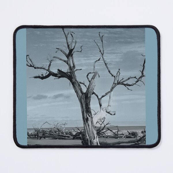 Item preview, Dead Tree on Empty Shore – Haunting Coastal Memento Mori Photography designed and sold by BlueRidgeBazaar.