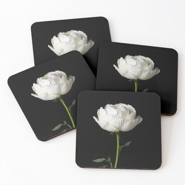 Item preview, A single delicate white peony flower with green stem and leaves against a stark black background	 designed and sold by FRH Design ⭐⭐⭐⭐⭐.