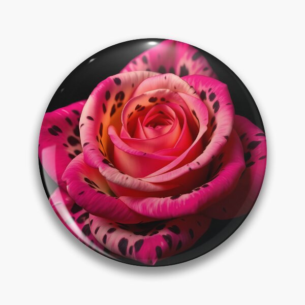 Item preview, Strikingly beautiful pink and red rose with unique speckled petals, a vibrant bloom captured against a deep, mysterious black background, highlighting its intricate natural beauty	 designed and sold by FRH Design ⭐⭐⭐⭐⭐.