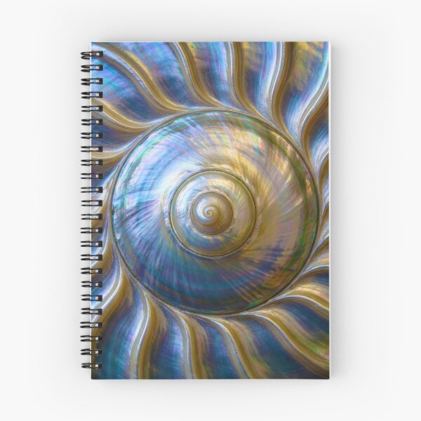 Item preview, Mother of Pearl Shell Spiral designed and sold by Tridentulus.