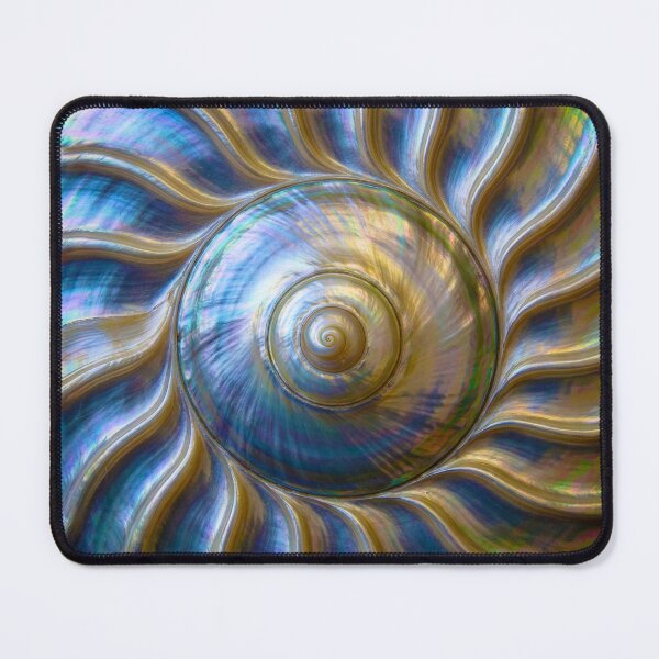 Item preview, Mother of Pearl Shell Spiral designed and sold by Tridentulus.
