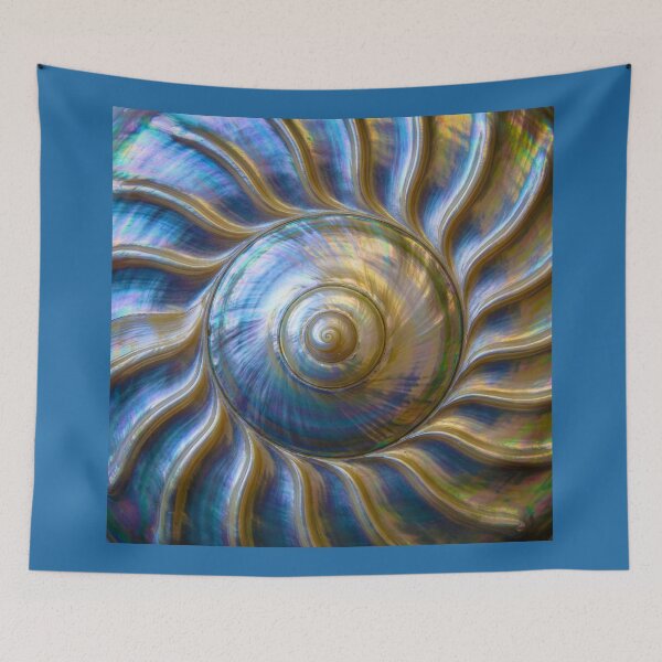 Item preview, Mother of Pearl Shell Spiral designed and sold by Tridentulus.