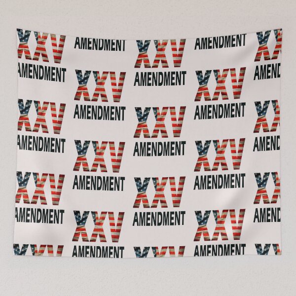 Item preview, 25 th amendment of USA constitution No Kings designed and sold by erozzz.