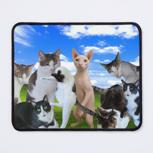 Item preview, longcatjake and friends windows xp designed and sold by longcatjake.