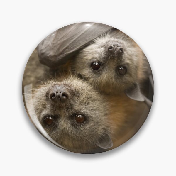 Item preview, Hang In there designed and sold by DawsonImages.