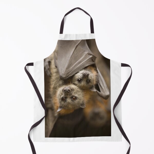 Item preview, Hang In there designed and sold by DawsonImages.