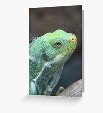 Fijian Crested Iguana Greeting Card