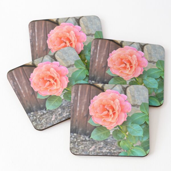 Item preview, Coral Peach Rose Bloom in Garden Setting designed and sold by Be Captured by Brittany Emma.