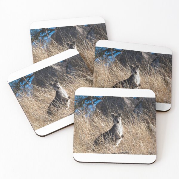 Item preview, Mr Roo designed and sold by Amanda Walker Photography.