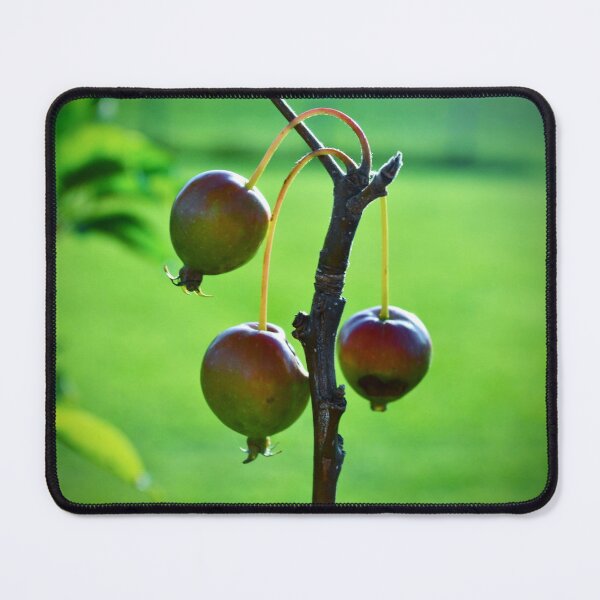 Item preview, Wild Crabapples on Branch – Natural Botanical Photography designed and sold by BlueRidgeBazaar.