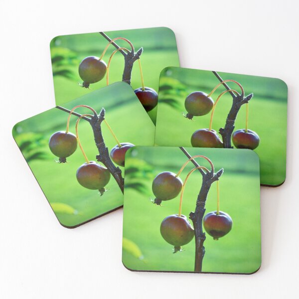Item preview, Wild Crabapples on Branch – Natural Botanical Photography designed and sold by BlueRidgeBazaar.