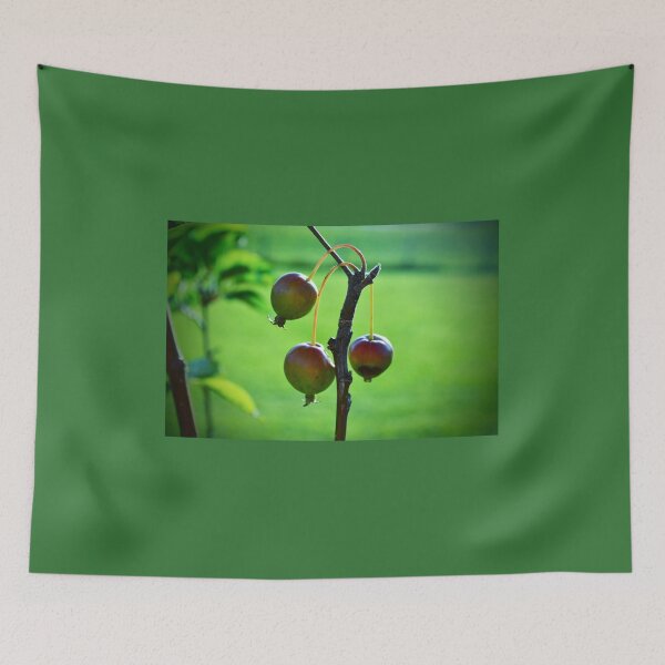 Item preview, Wild Crabapples on Branch – Natural Botanical Photography designed and sold by BlueRidgeBazaar.