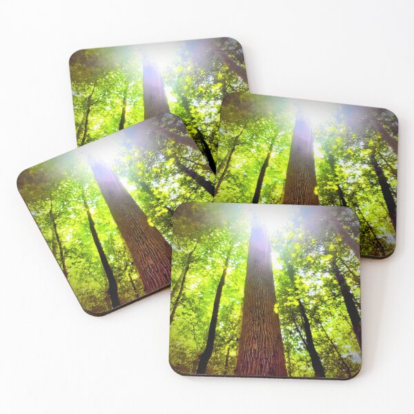 Item preview, Sunlit Forest Canopy – Looking Up Through Trees designed and sold by BlueRidgeBazaar.
