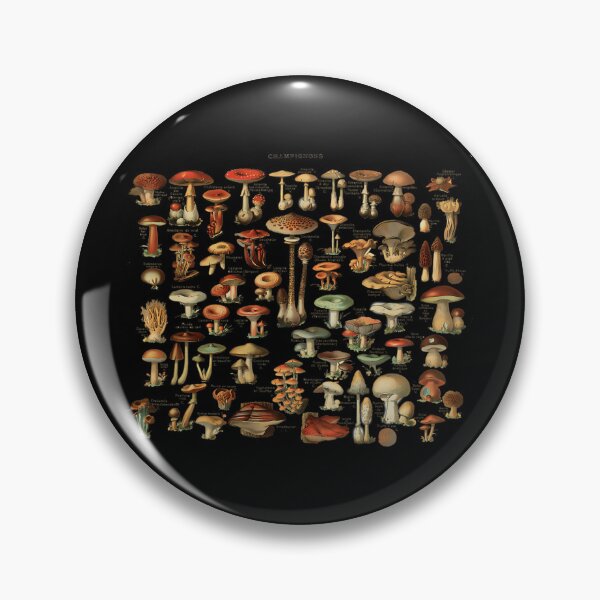 Item preview, Vintage Edible Mushroom Chart Field Guide Style designed and sold by kssmblajenp.