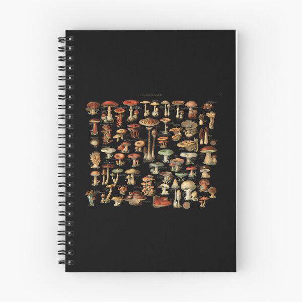 Item preview, Vintage Edible Mushroom Chart Field Guide Style designed and sold by kssmblajenp.