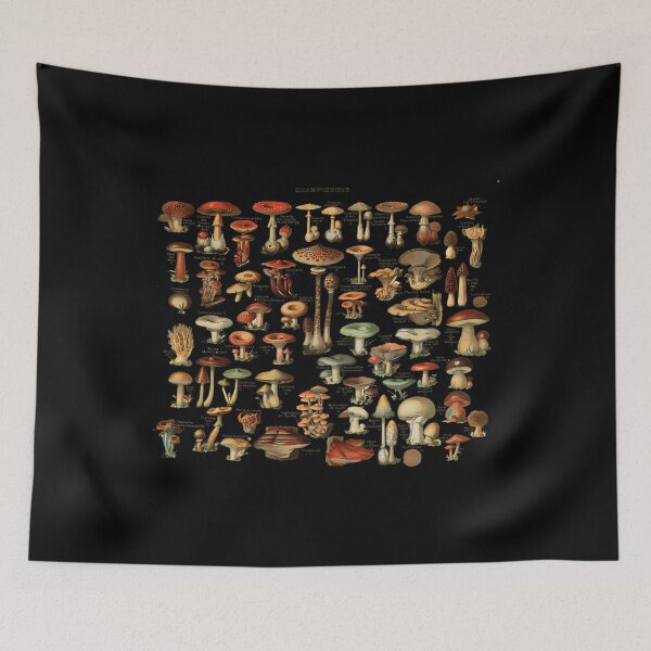 Item preview, Vintage Edible Mushroom Chart Field Guide Style designed and sold by kssmblajenp.