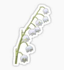 Flowers lily Sticker