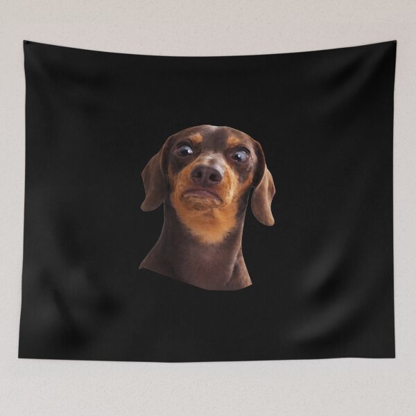 Item preview, Angry Dachshund Face Meme with Side Eye Expression designed and sold by love3617.