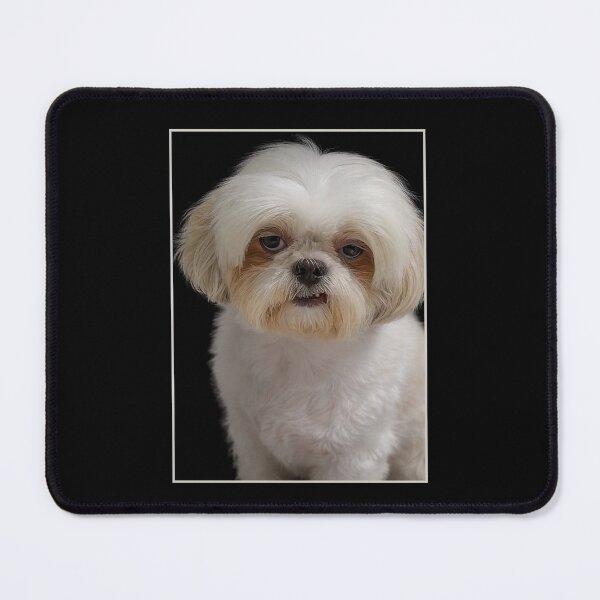 Item preview, Realistic Shih Tzu Dog Portrait on Black Background High Detail designed and sold by love3617.
