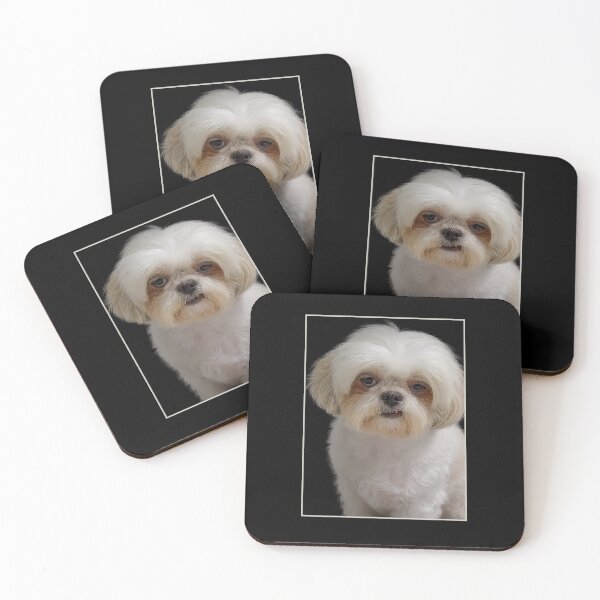 Item preview, Realistic Shih Tzu Dog Portrait on Black Background High Detail designed and sold by love3617.