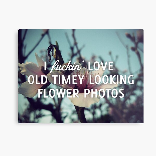 Old Timey Looking Flower Photos Metal Print