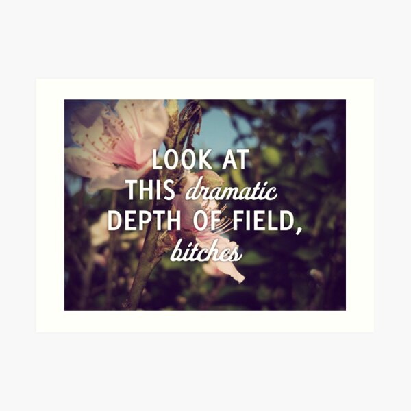 Dramatic Depth of Field Art Print