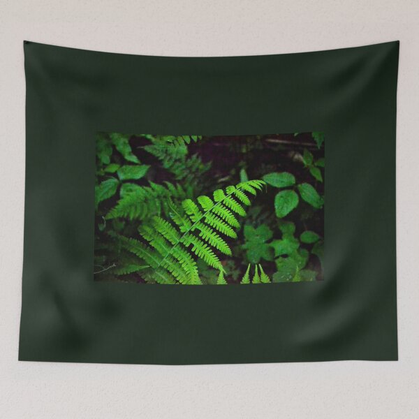 Item preview, Fern Fronds in Shadow – Dark Woodland Nature Photography designed and sold by BlueRidgeBazaar.