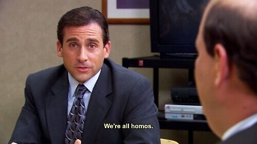 The Office; Michael Scott “We're all homos”