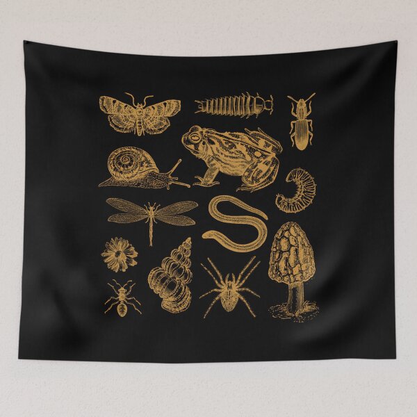 Item preview, Vintage Biology Collage – Frog Mushroom Snail Moth designed and sold by folgersolarzj.