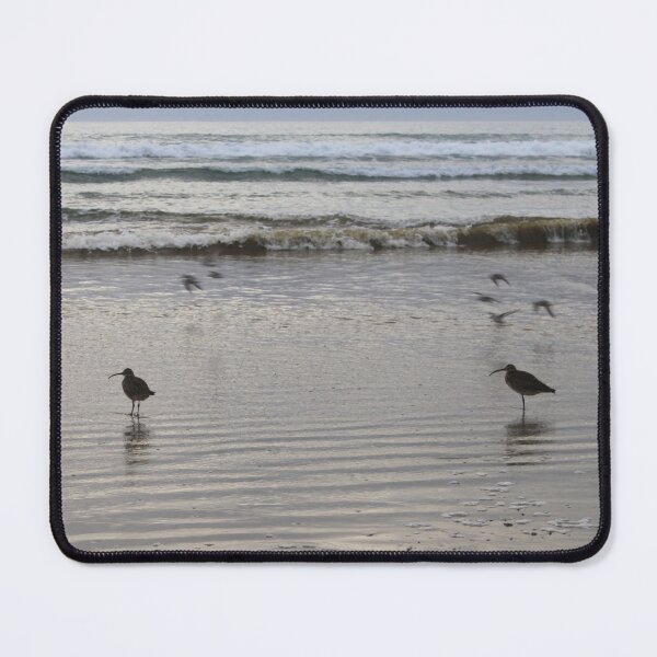 Item preview, Shorebirds Standing in Shallow Water Along the Ocean Shore designed and sold by izzetsafer.
