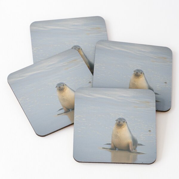 Item preview, Australian Fur Seal Pup on Beach designed and sold by CPhotographs.