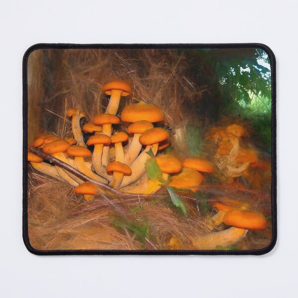 Item preview, Deep Woods Pine Treasure designed and sold by Wayne King.